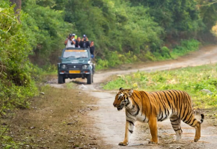 jim corbett