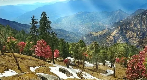 kausani