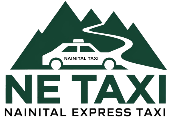 ne taxi logo